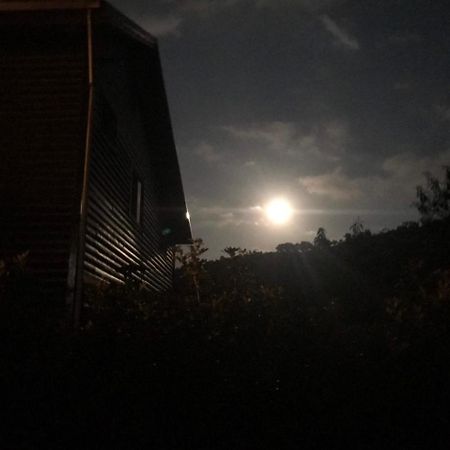 Wenquan Moon B&B מראה חיצוני תמונה